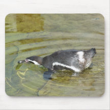 Natation allante de pingouin tapis de souris