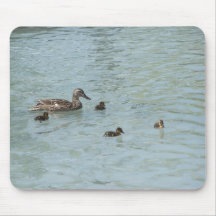 Natation de enseignement de canard de mère à ses n tapis de souris