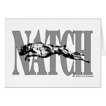 NATCHBoxer Cartes