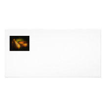 nature5_morte_9671_500 cartes avec photo