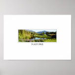 nature affiches