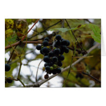 Nature Cartes