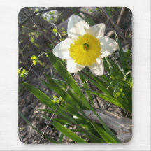 nature florale de fleur jaune de jonquille tapis de souris