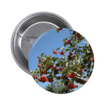 Natuur Buttons