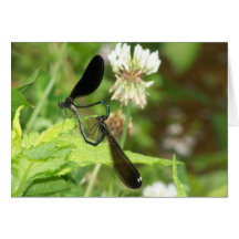 Natuur - het Hart vormen zij samen Kaart