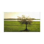 natuur stretched canvas afdrukken
