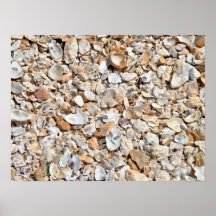 Natuurlijke Shells van het Zee Textuur Posters