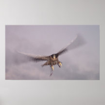 Ne peut pas arrêter le tonnerre… poster