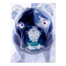 négatif de bouledogue carte postale