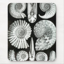 Négatif de Haeckel Tapis De Souris