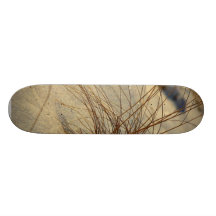 Neige au lever de soleil à la jante du canyon de B Plateaux De Skateboards