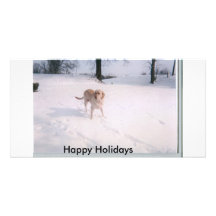 neige de biscuit, bonnes fêtes photocartes personnalisées