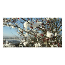 Neige d'hiver carte avec photo
