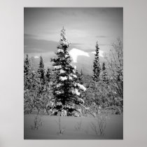 Neige d'hiver posters