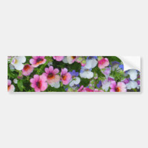 Nemesia mélangé autocollants pour voiture