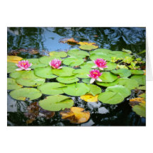 Nénuphar Carte De Vœux