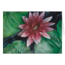 Nénuphar magenta cartes de vœux