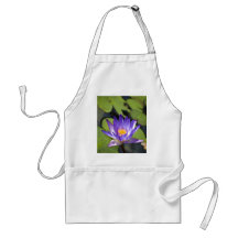 Nénuphar pourpre tablier