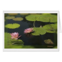 Nénuphar rose - customisé cartes