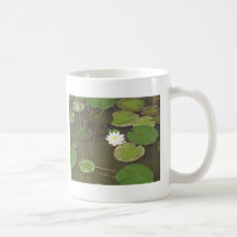 nénuphar tasse