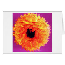 NÉON FIORI CARTES DE VŒUX