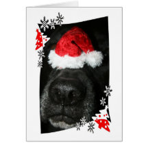 Nez de chien noir de laboratoire avec la photograp carte de vœux