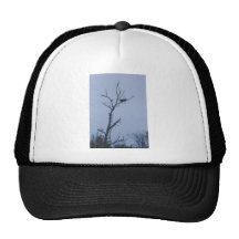 Nid de héron de grand bleu casquette de camionneur
