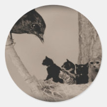 Nid des chats autocollants