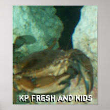 Nieuw Poster