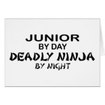 Ninja mortel par nuit - junior cartes