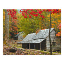 Noé "bourgeon" lorgnent le cabine dans le Smokies Photographie D’art