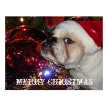 Noël anglais de bouledogue carte postale