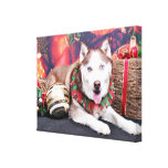 Noël - chien de traîneau sibérien - ami impression sur toile