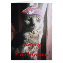 Noël de Kitty Cartes De Vœux