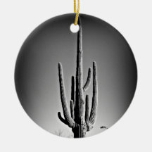 Noël de l'Arizona Ornements