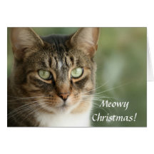 Noël de Meowy Carte De Vœux