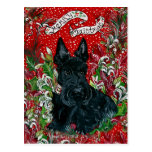 Noël de Terrier d'écossais Cartes Postales