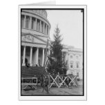 Noël de Washington DC Cartes De Vœux