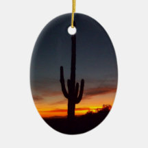 Noël en Arizona Ornements