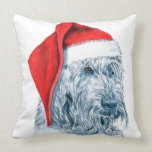 Noël Labradoodle Coussin