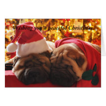Noël paisible cartes