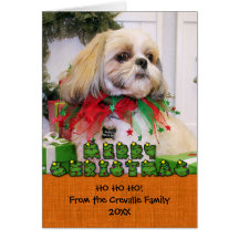 Noël Photocard de Shih Tzu Cartes De Vœux
