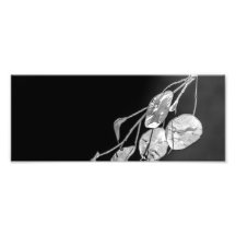 Noir et blanc gentil photos sur toile