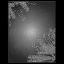 Noir et gris de poinsettia de Noël prospectus