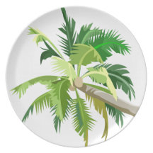 Noix de coco assiettes