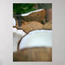 Noix de coco posters