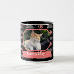 Nom femelle de chat de souris et tasses de café de