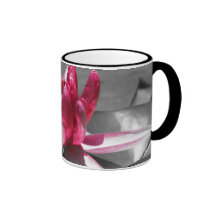 Nommez votre tasse