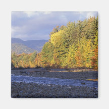 Noord-Amerika, de V.S., NH, Rivier Saco. Cobble Koelkast Magneet