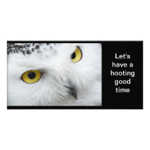 note d'anniversaire de photo de hibou photocarte personnalisée